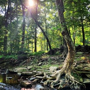 Meet your Posher, Stacey